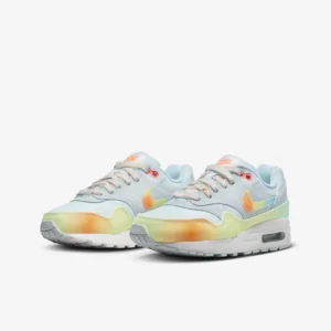 Nike Air Max 1 Men's Shoes