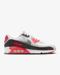 Nike Air Max 90 GORE-TEX Men's Shoes
